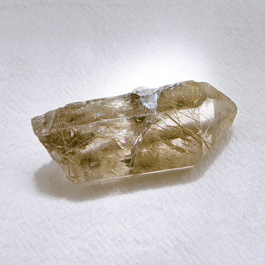 [RQ01] Smoky Quartz with Lodolite and Golden Rutile (Record Keeper)