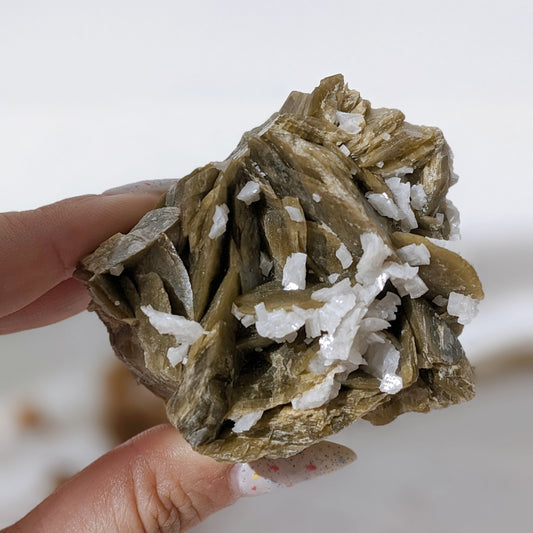 [SI08] Siderite Dolomite Specimen 菱鐵礦白雲石