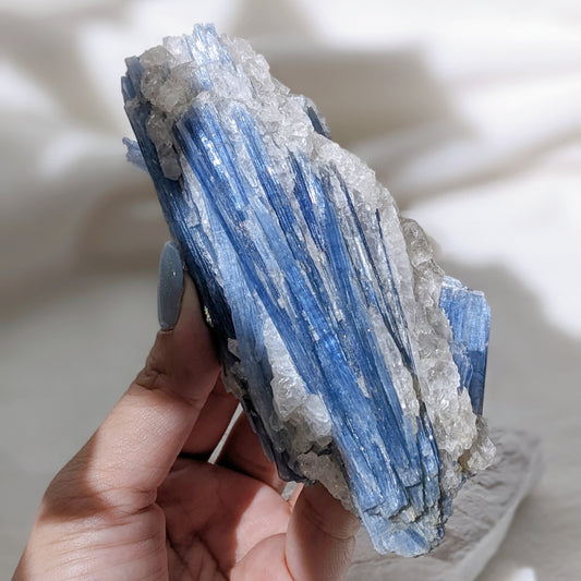 [KY03] Kyanite with Clear Quartz