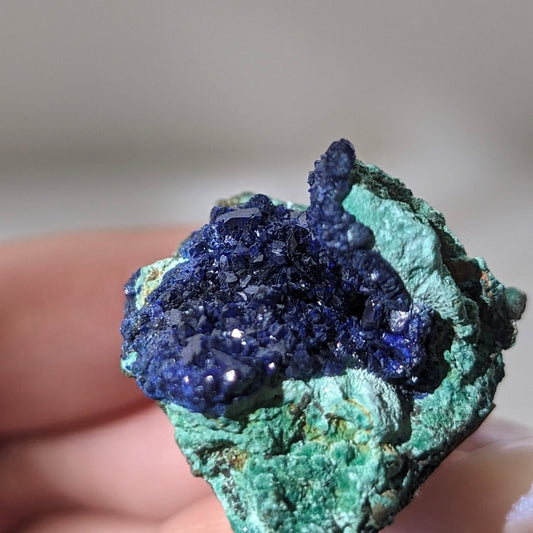 [AZ20] Azurite Malachite  藍銅礦孔雀礦共生