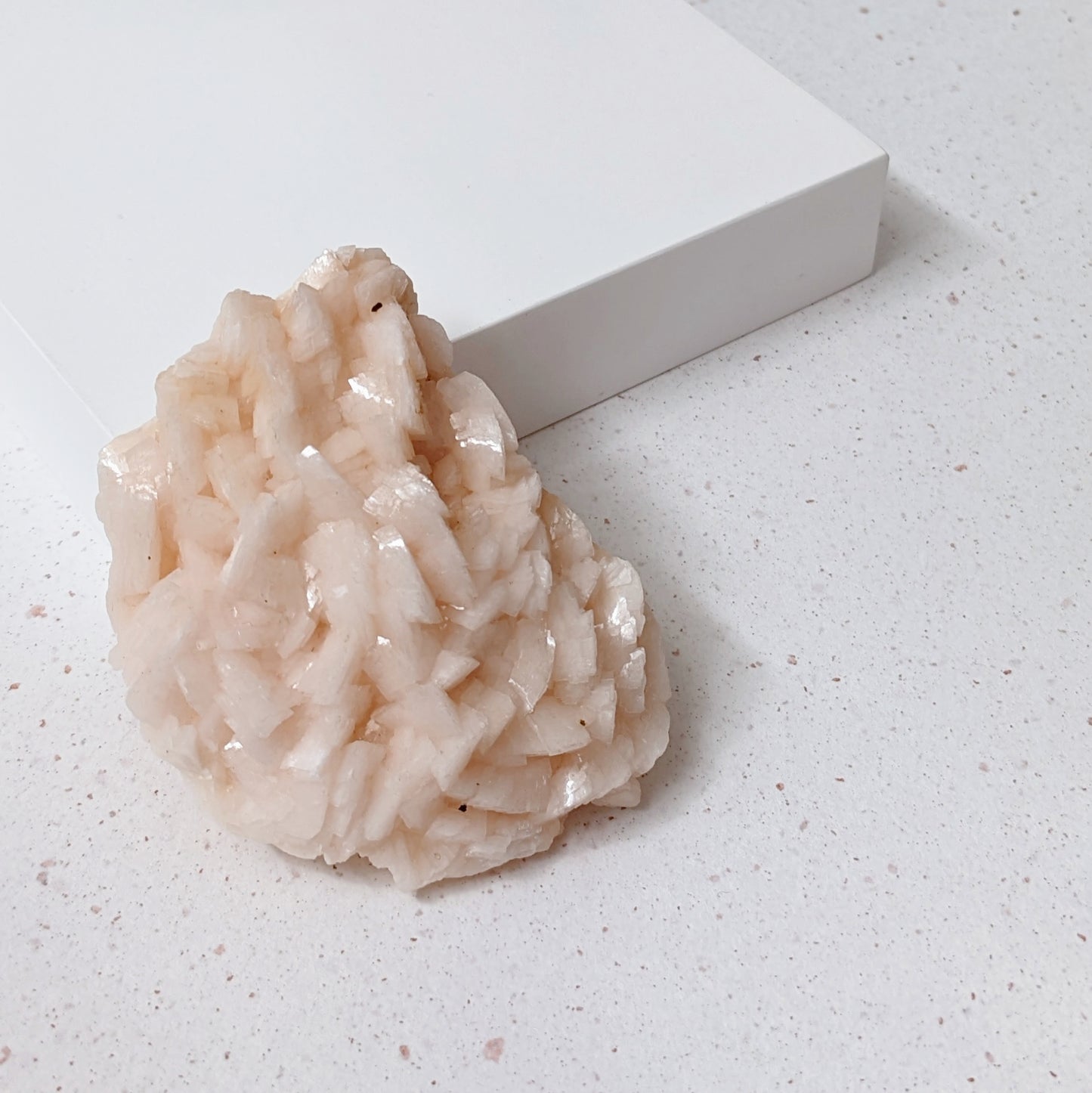 Pink Dolomite 摩洛哥粉色雲石