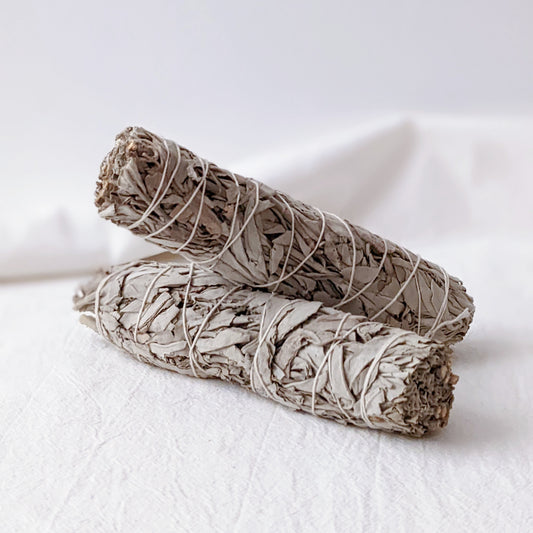 White Sage Bunch from California 18cm 加州白鼠尾草