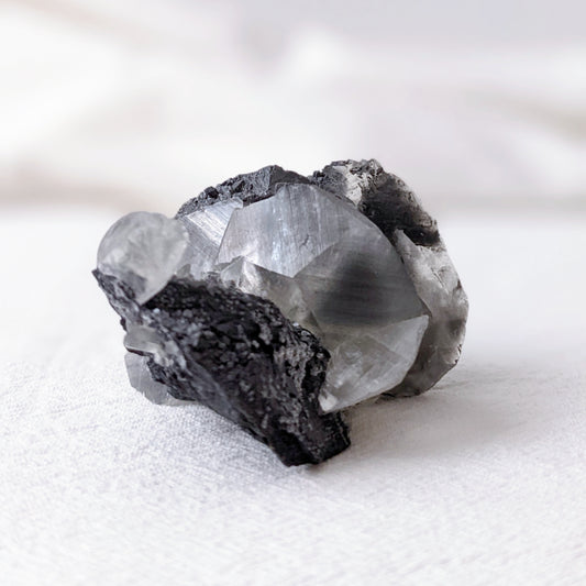 [CA12] Shell Shape Calcite 貝殼方解石
