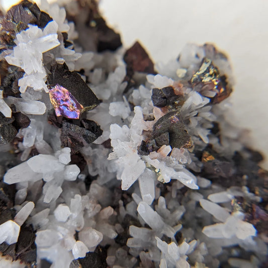 [CH05] Oxidized Chalcopyrite & Pyrite with Milky Quartz 黃銅礦黃鐵礦白水晶花共生