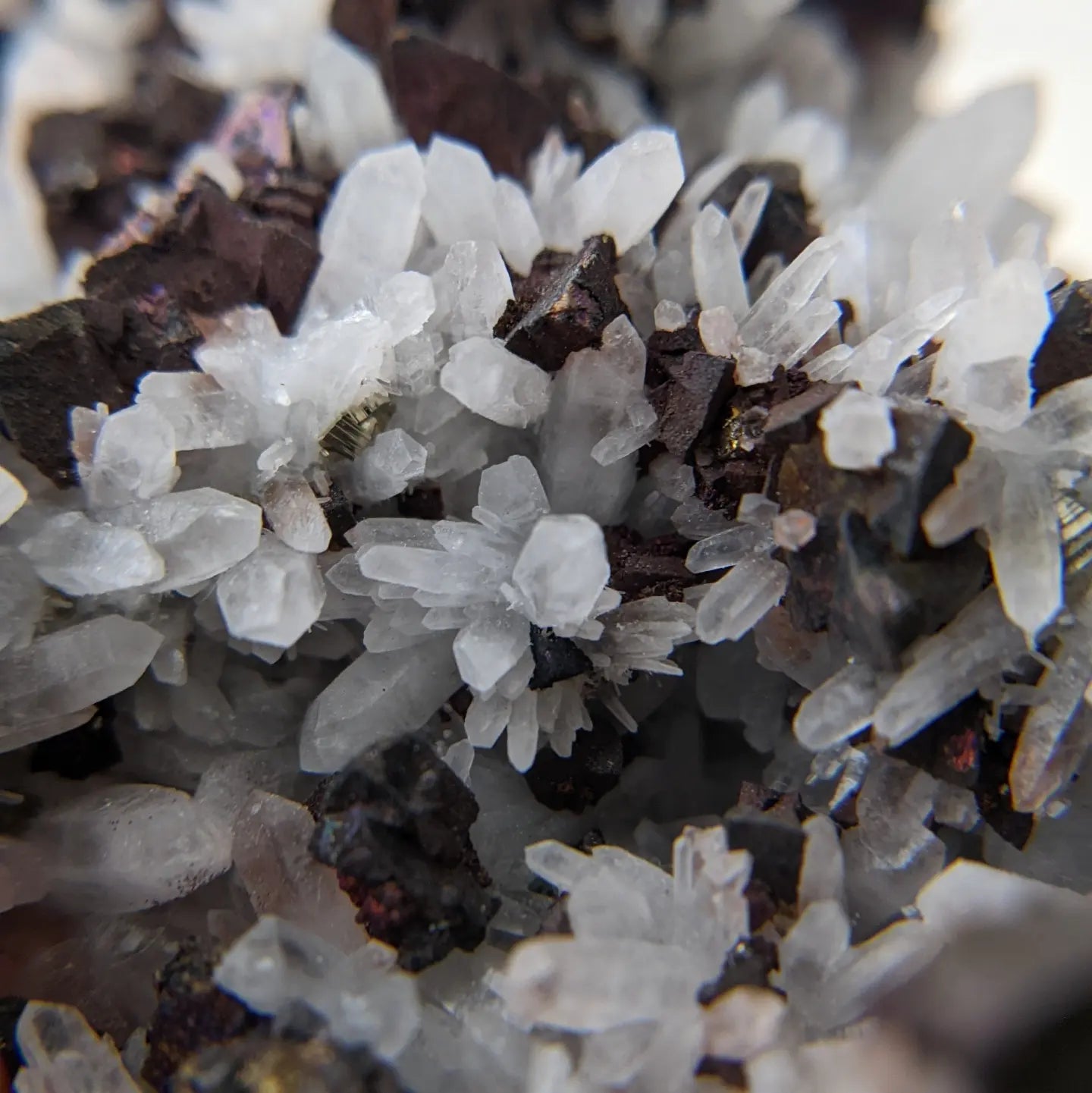 [CH05] Oxidized Chalcopyrite & Pyrite with Milky Quartz 黃銅礦黃鐵礦白水晶花共生