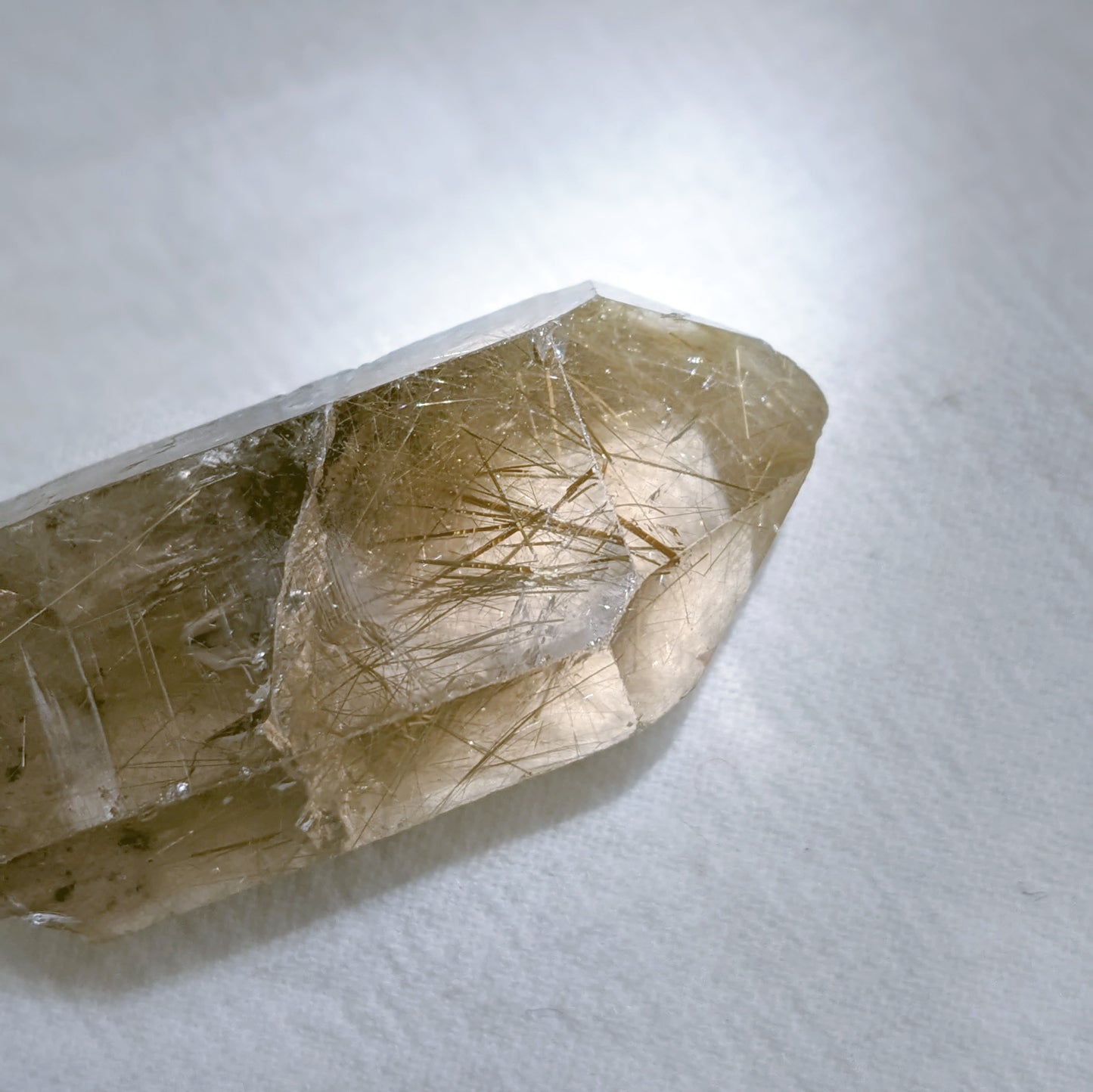 [RQ01] Smoky Quartz with Lodolite and Golden Rutile (Record Keeper)