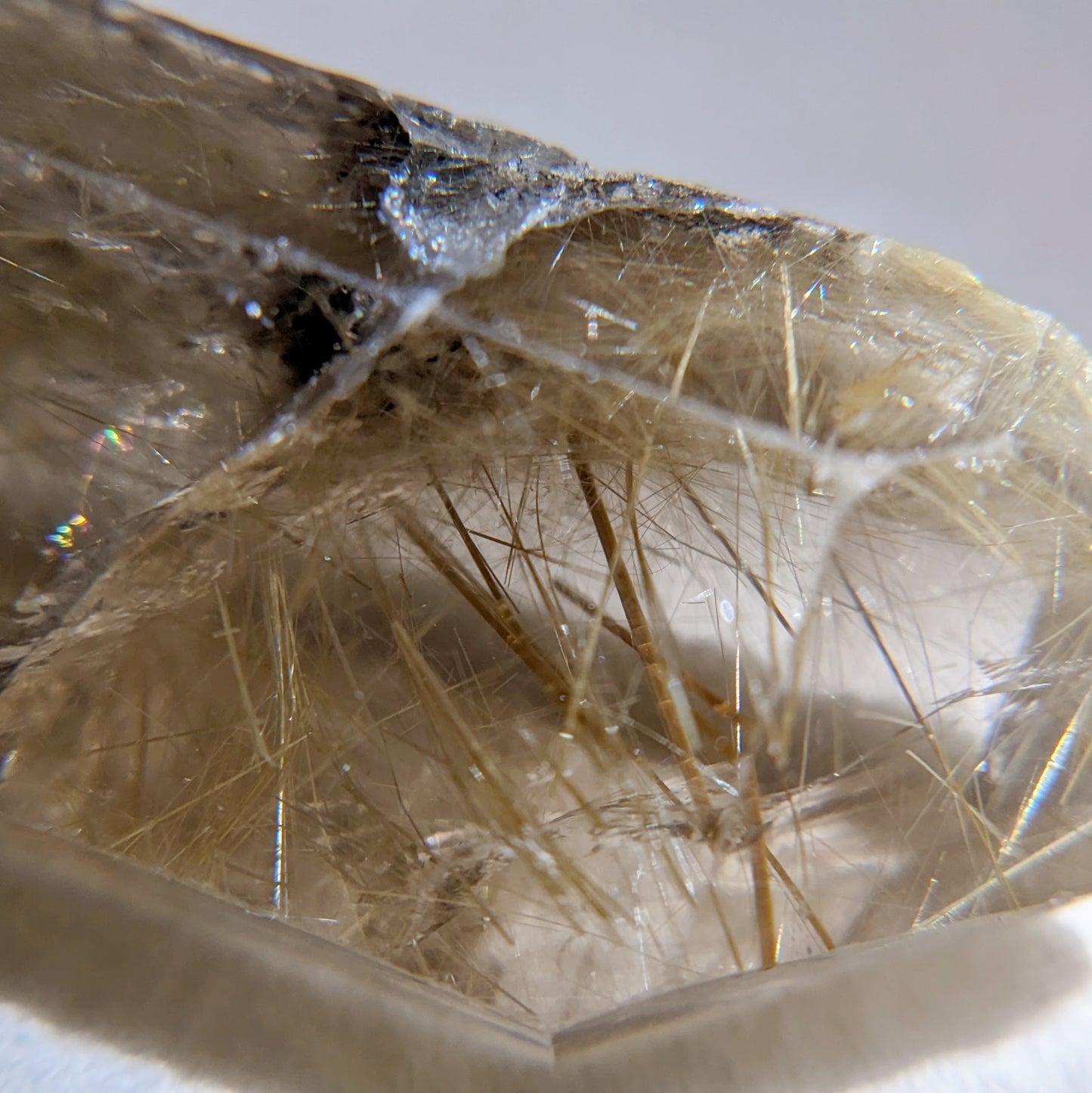 [RQ01] Smoky Quartz with Lodolite and Golden Rutile (Record Keeper)