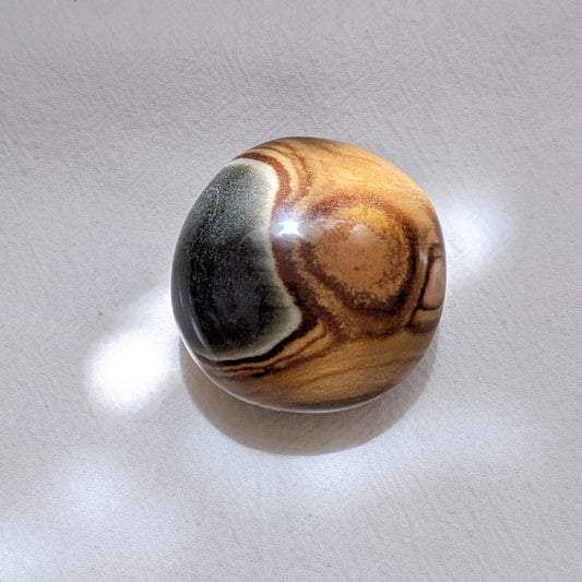 [PJ03] Polychrome Jasper Palm Stone