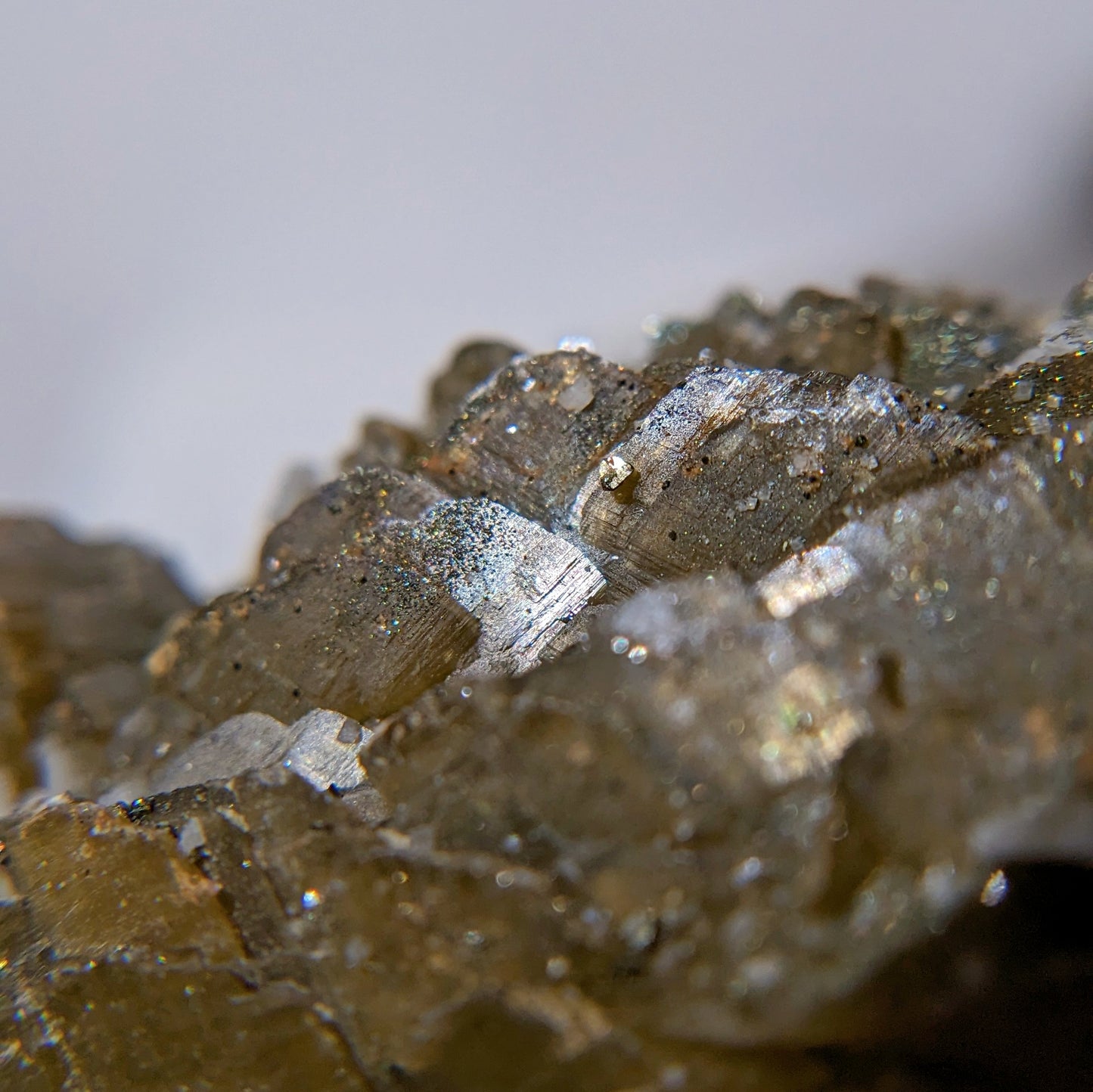 [SI02] Siderite Dolomite Pyrite Specimen 菱鐵礦白雲石硫鐵礦共生