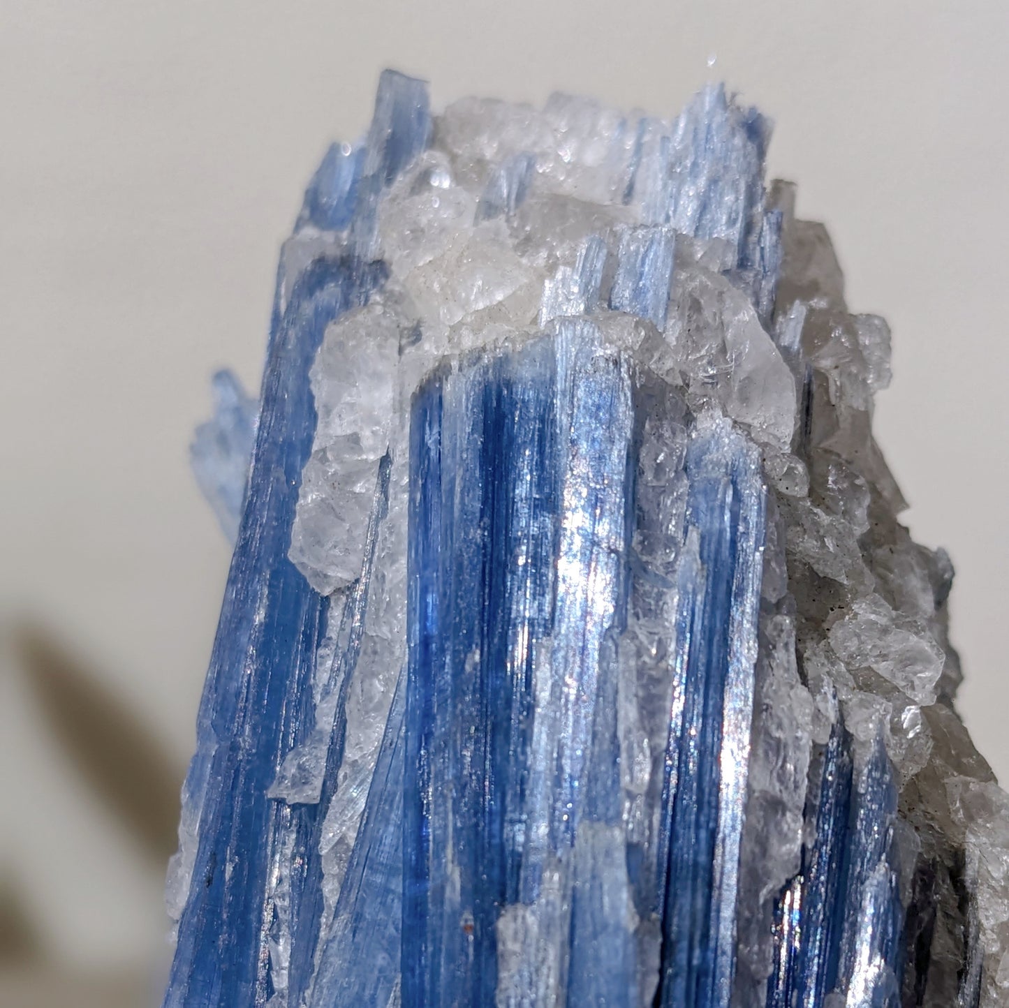 [KY03] Kyanite with Clear Quartz