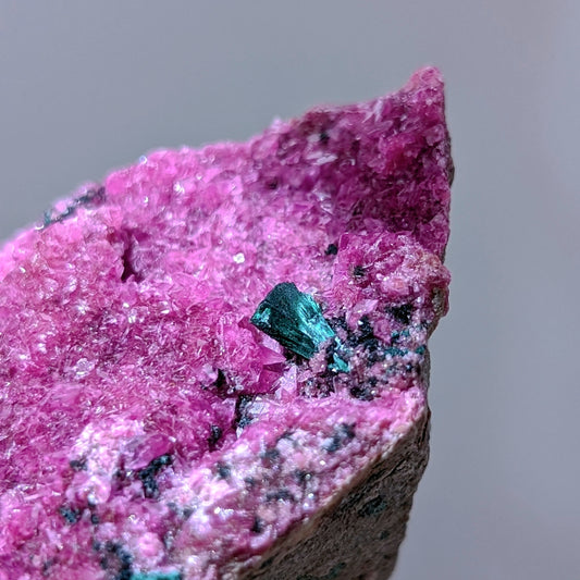 [CC07] Magenta Cobaltocalcite with Malachite, Congo