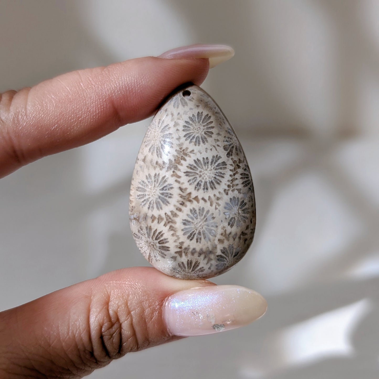 [PEFC01] Fossil Coral Pendant