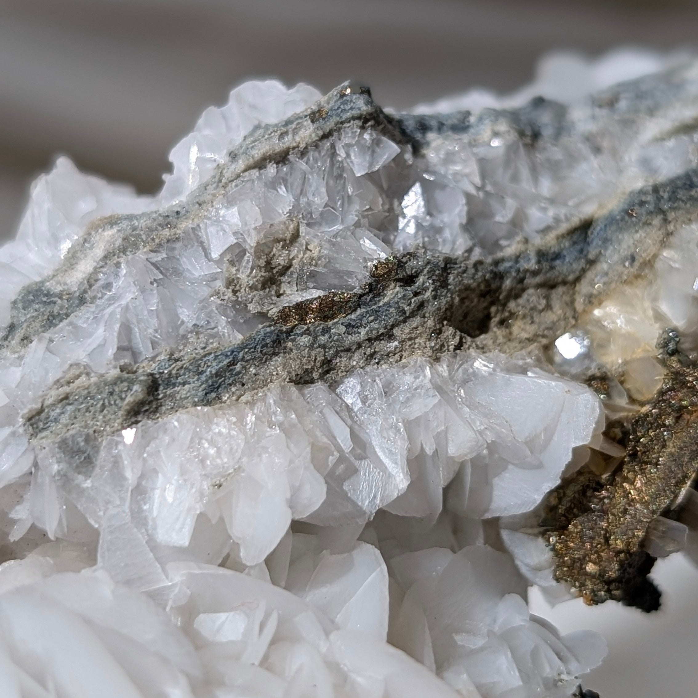 贝壳银 极光碎雪 ダイカット加工 6cm×5m 100cm/loop 贝壳银 极光碎雪 ダイカット加工 6cm×5m 100cm/loop