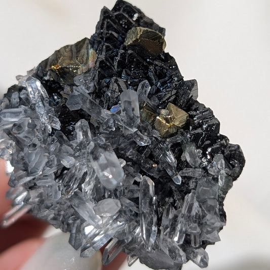 [GA02] Chalcopyrite, Galena with Quartz, Bulgaria 保加利亞黃銅礦方鉛礦白水晶共生