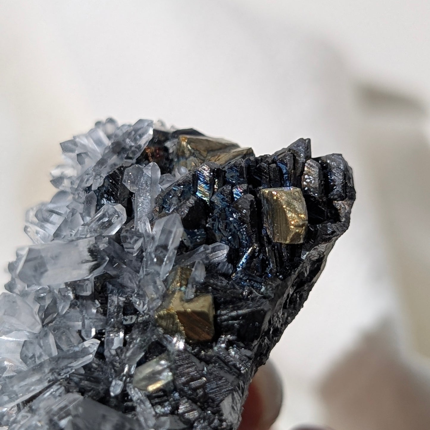 [GA02] Chalcopyrite, Galena with Quartz, Bulgaria 保加利亞黃銅礦方鉛礦白水晶共生