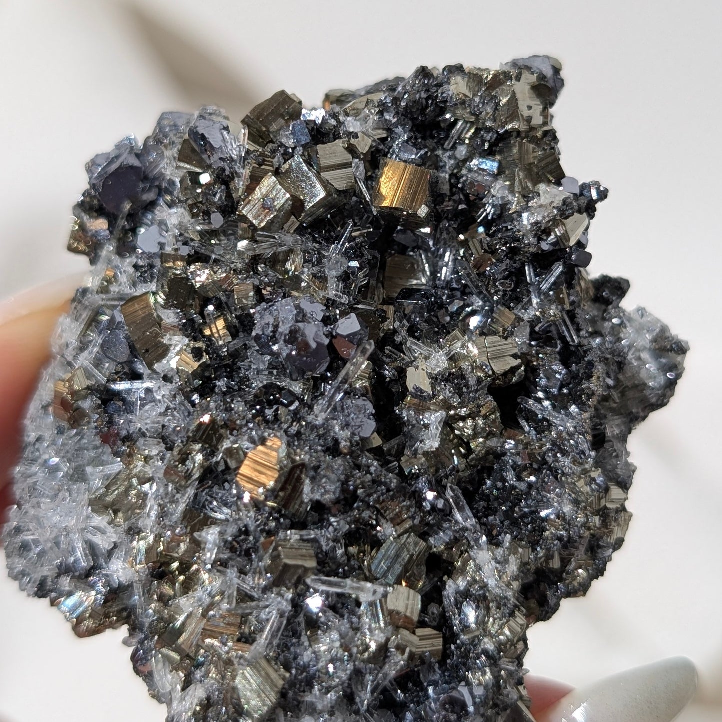 [PY30] Pyrite, Galena with Quartz, Bulgaria 保加利亞黃鐵礦方鉛礦白水晶共生