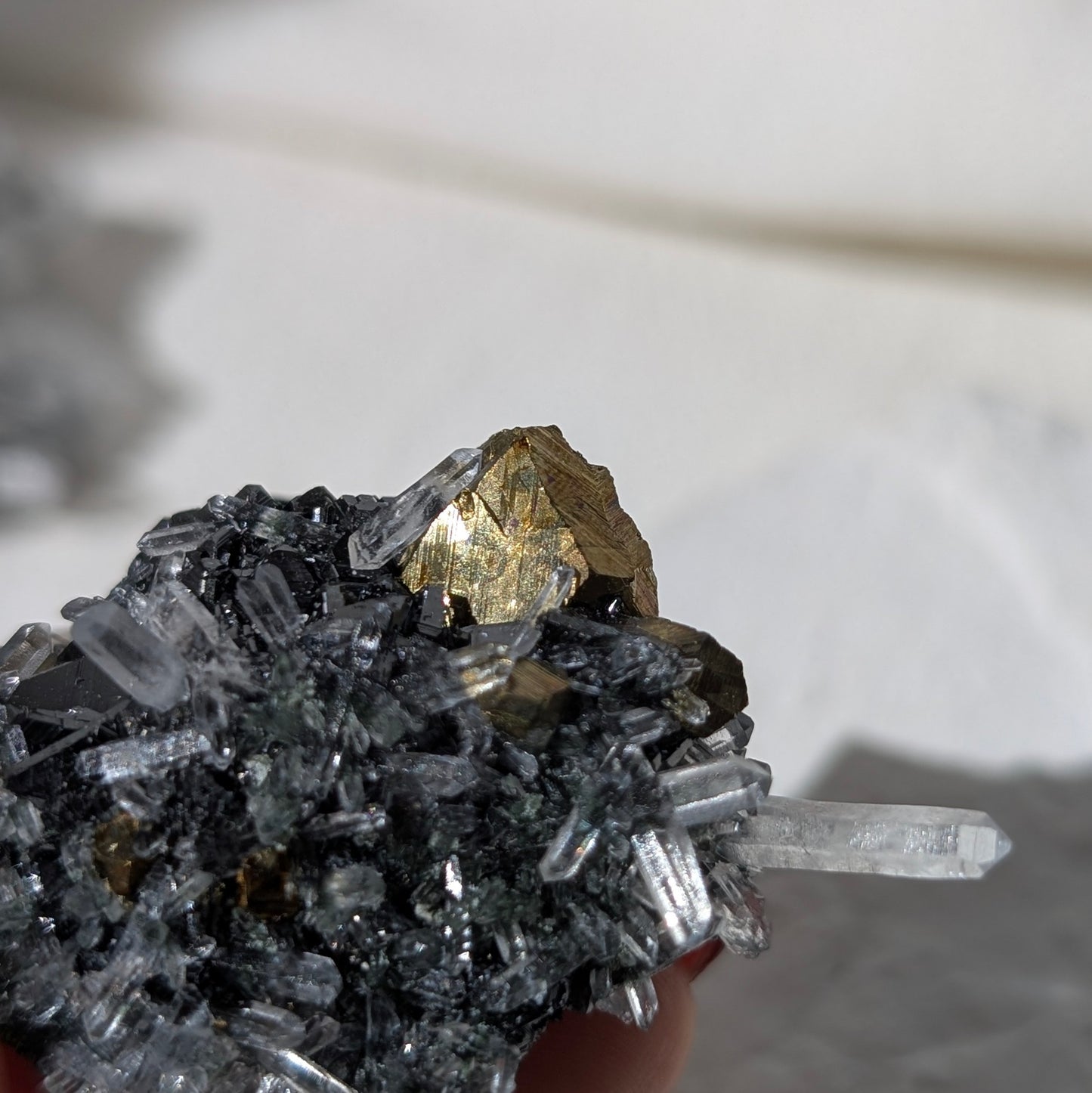 [GA05] Chalcopyrite, Galena with Quartz, Bulgaria 保加利亞黃銅礦方鉛礦白水晶共生