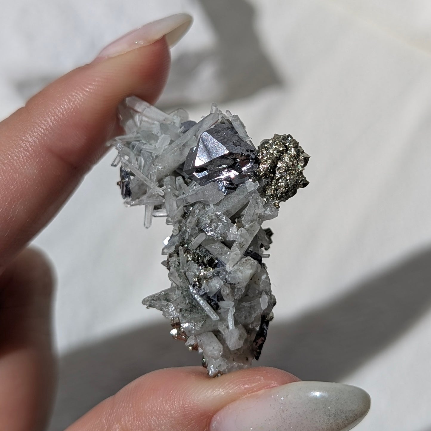 [PY34] Pyrite, Galena with Quartz, Bulgaria 保加利亞黃鐵礦方鉛礦白水晶共生