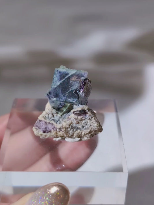[FL27] Blue & Purple Fluorite mini specimen 瑤崗仙紫藍螢迷你礦標