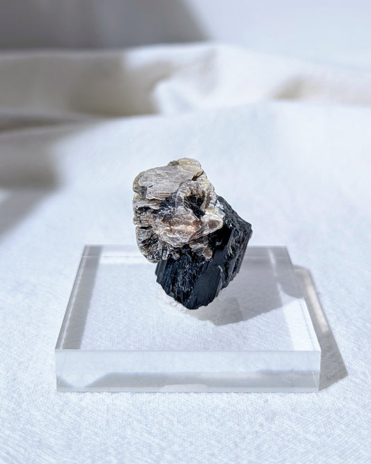 [BT03] Black Tourmaline with Mica 黑碧璽金雲母共生