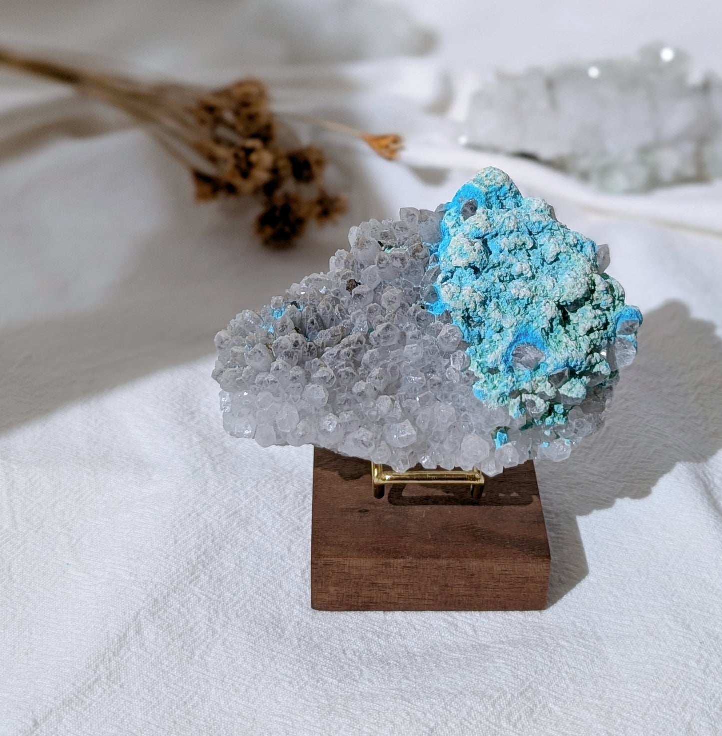 [CY07] Chrysocolla with Quartz and Pyrite 矽孔雀石石英黃鐵礦共生