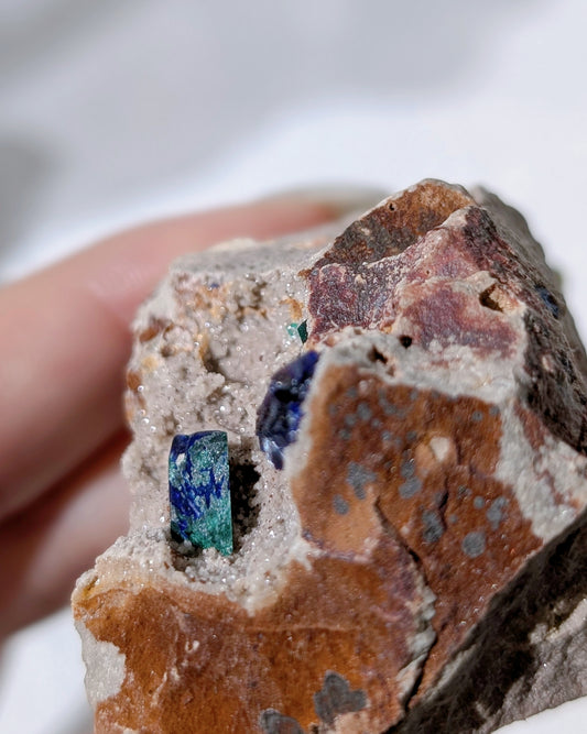 [AZ30] Azurite on matrix, Morocco