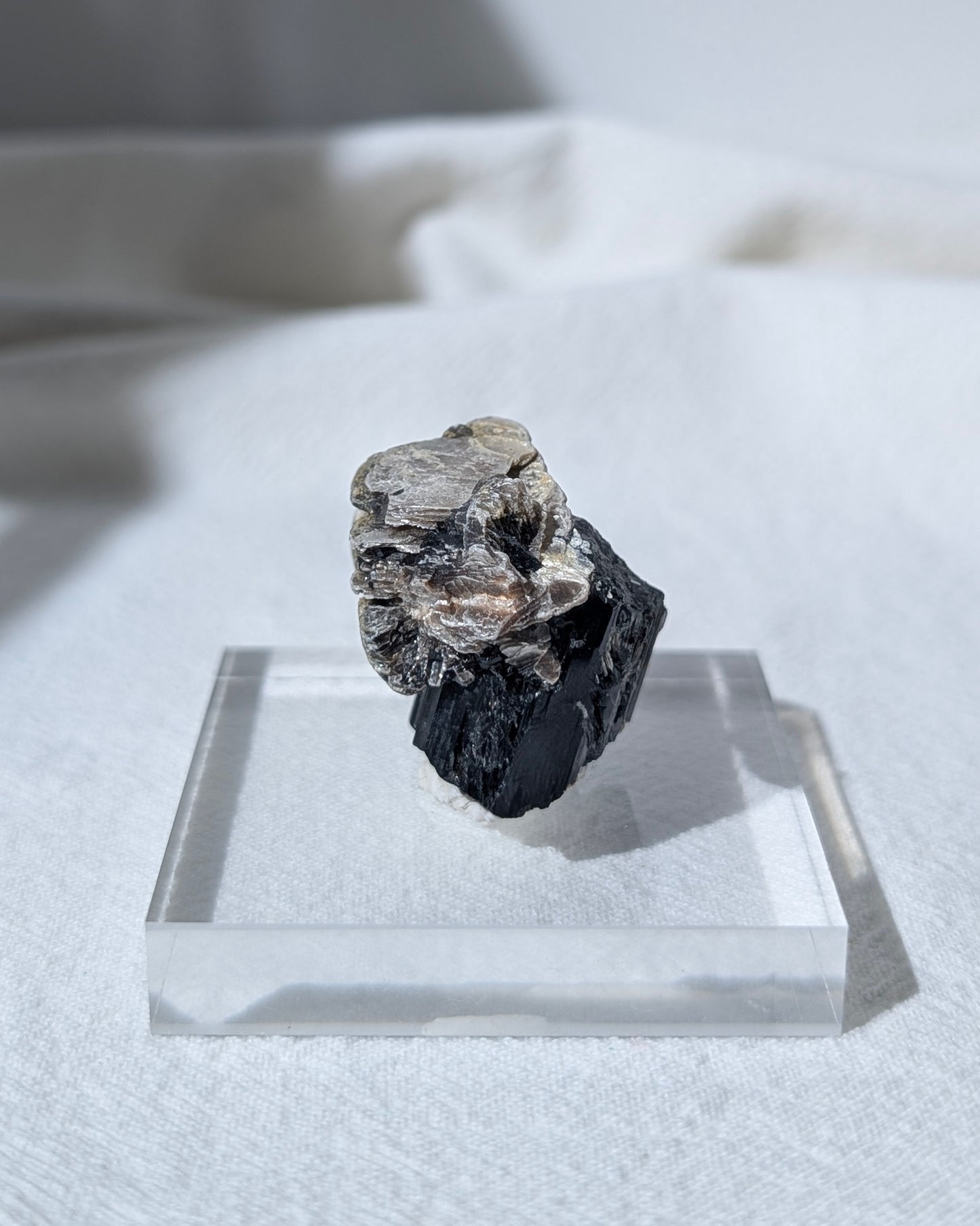 [BT03] Black Tourmaline with Mica 黑碧璽金雲母共生