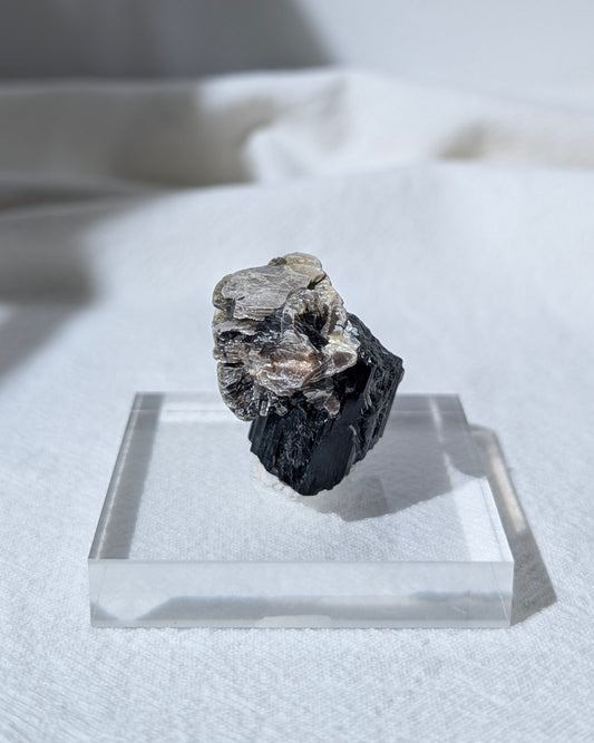 [BT03] Black Tourmaline with Mica 黑碧璽金雲母共生