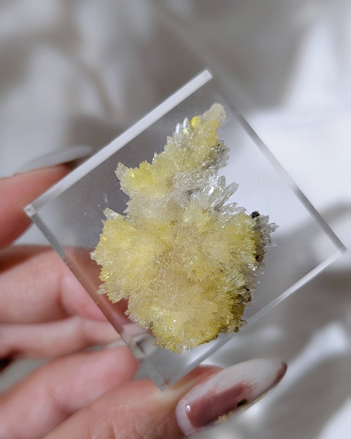 [CR10] Creedite Carlhintzeite flower specimen 水氟鋁鈣石氟鋁石膏花
