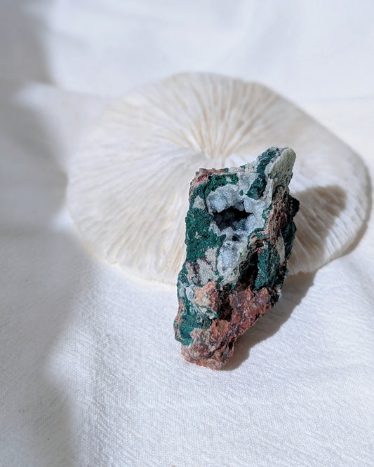 [CY13] Druzy Chrysocolla Malachite geode, Congo 孔雀礦矽孔雀礦石英小晶洞