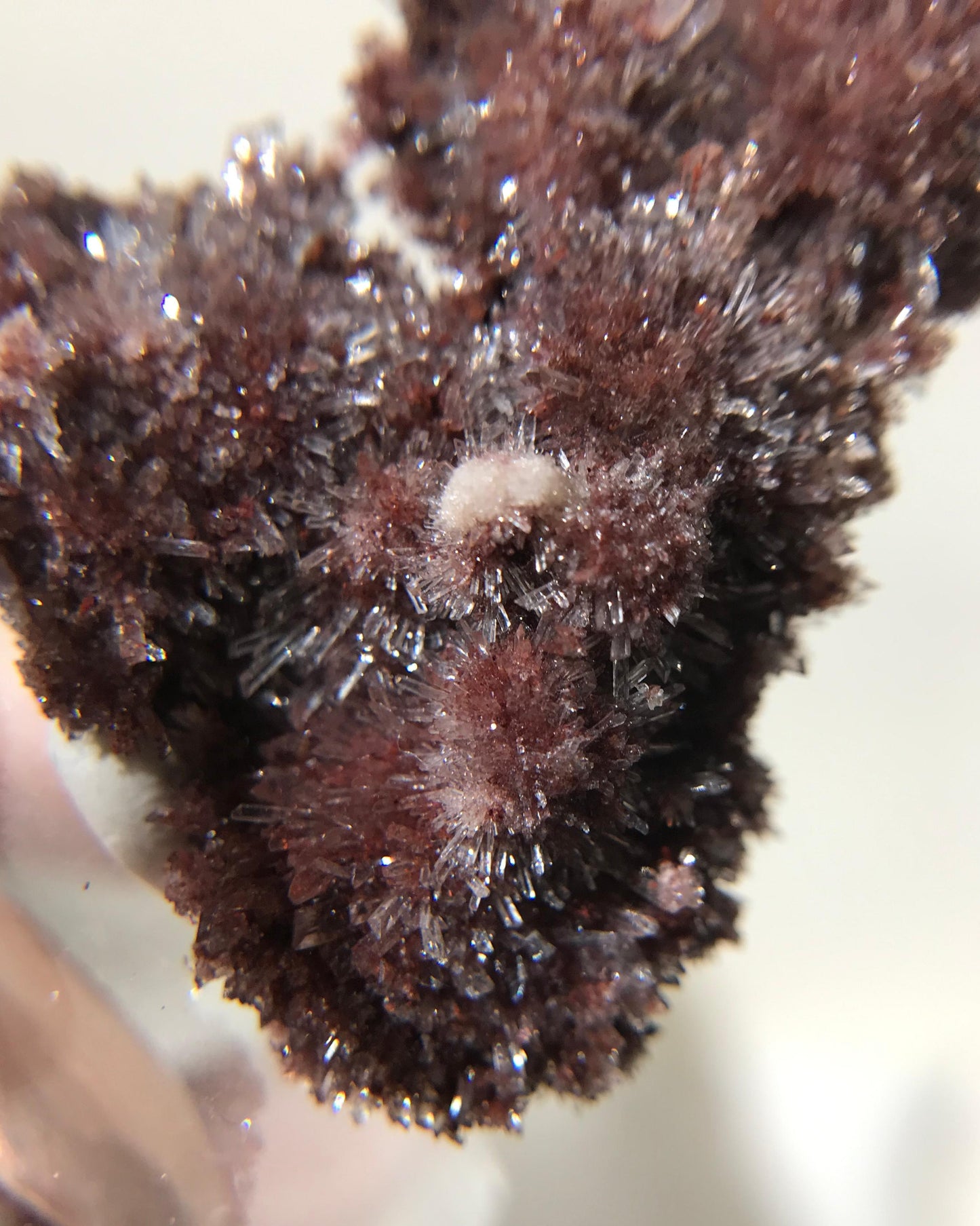 [CR12] Creedite flower on matrix 紅幽靈氟鋁石膏花