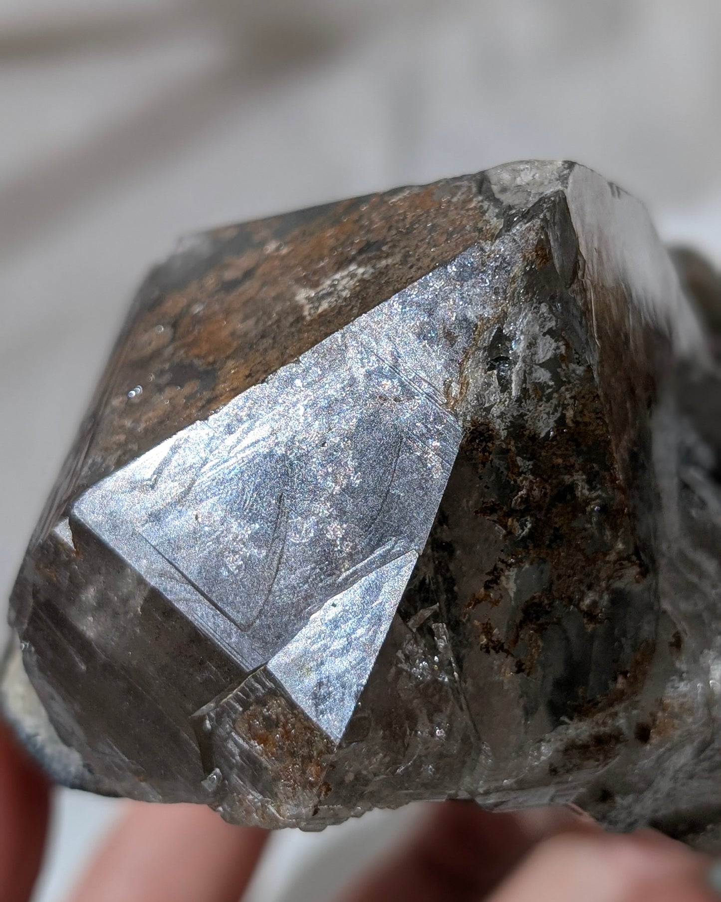 [HQ06] Himalayan Elestial Quartz with green lodolite & specularite (alligator+record keeper), Pakistan