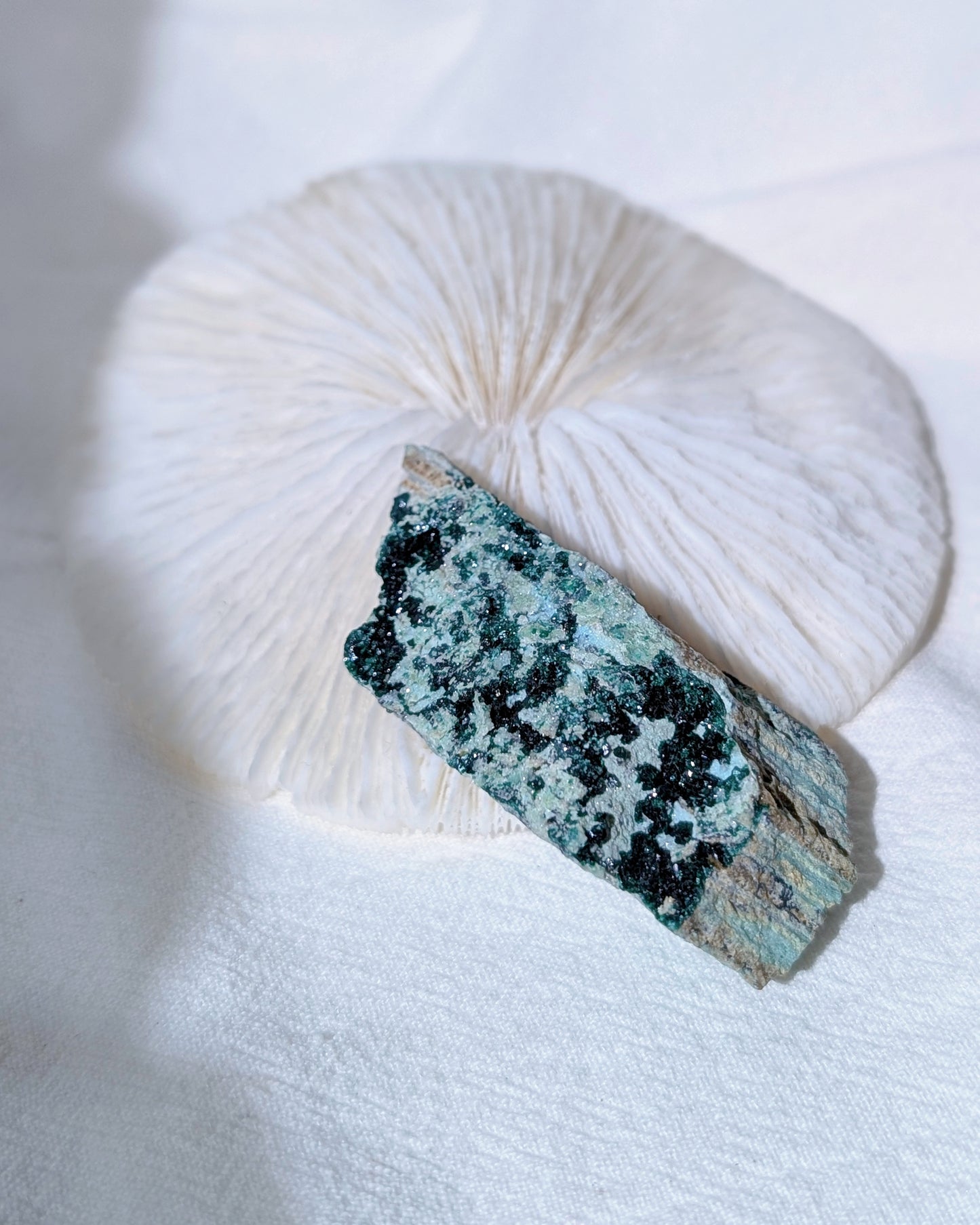 [CY12] Chrysocolla Malachite, Congo 孔雀礦矽孔雀礦