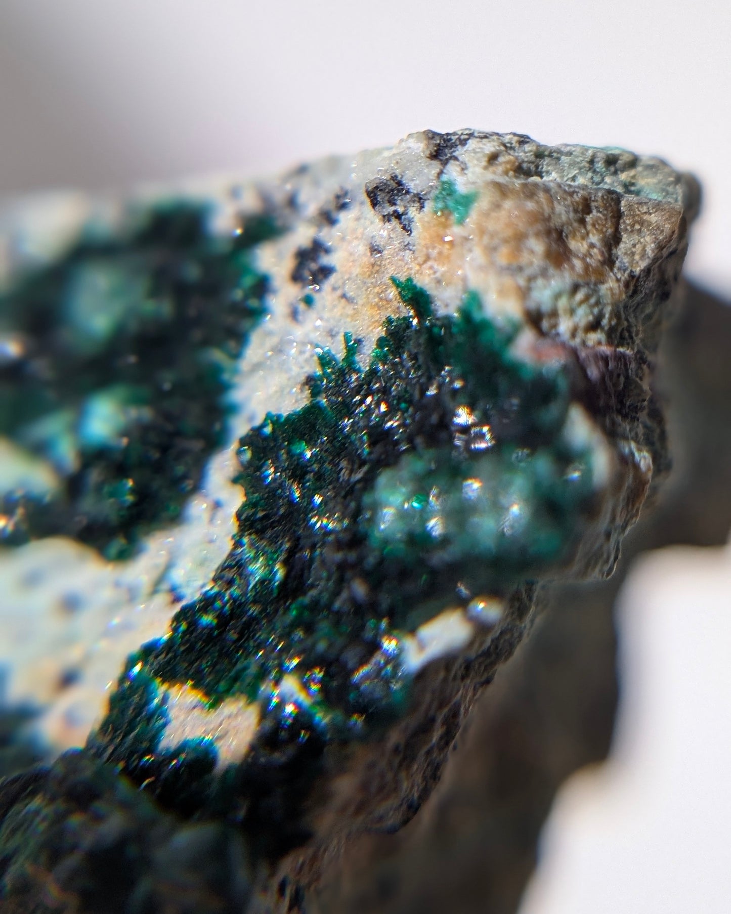 [CY09] Chrysocolla Malachite Dendrite Pyrolusite, Congo 孔雀礦矽孔雀礦軟錳礦共生