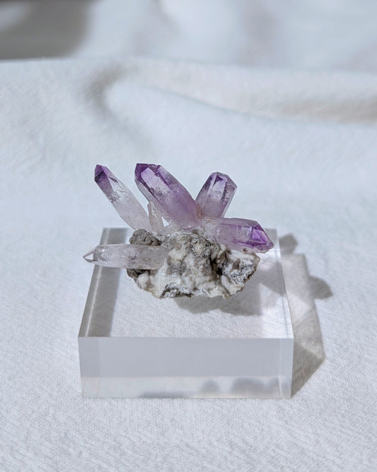 [VC05] Vera Cruz Amethyst 克魯茲紫水晶