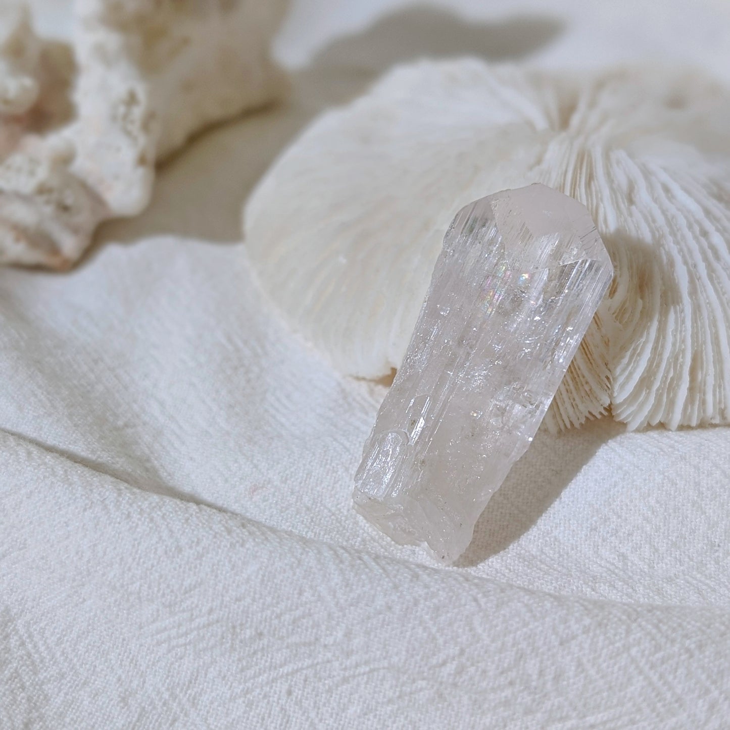 [DN01] High Quality Pink Danburite 高品粉色賽黃晶
