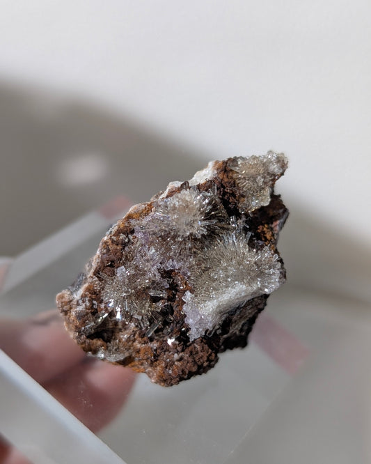 [CR09] Creedite flower specimen 氟鋁石膏花