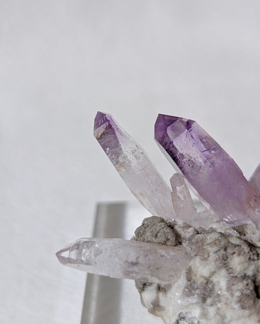 [VC05] Vera Cruz Amethyst 克魯茲紫水晶