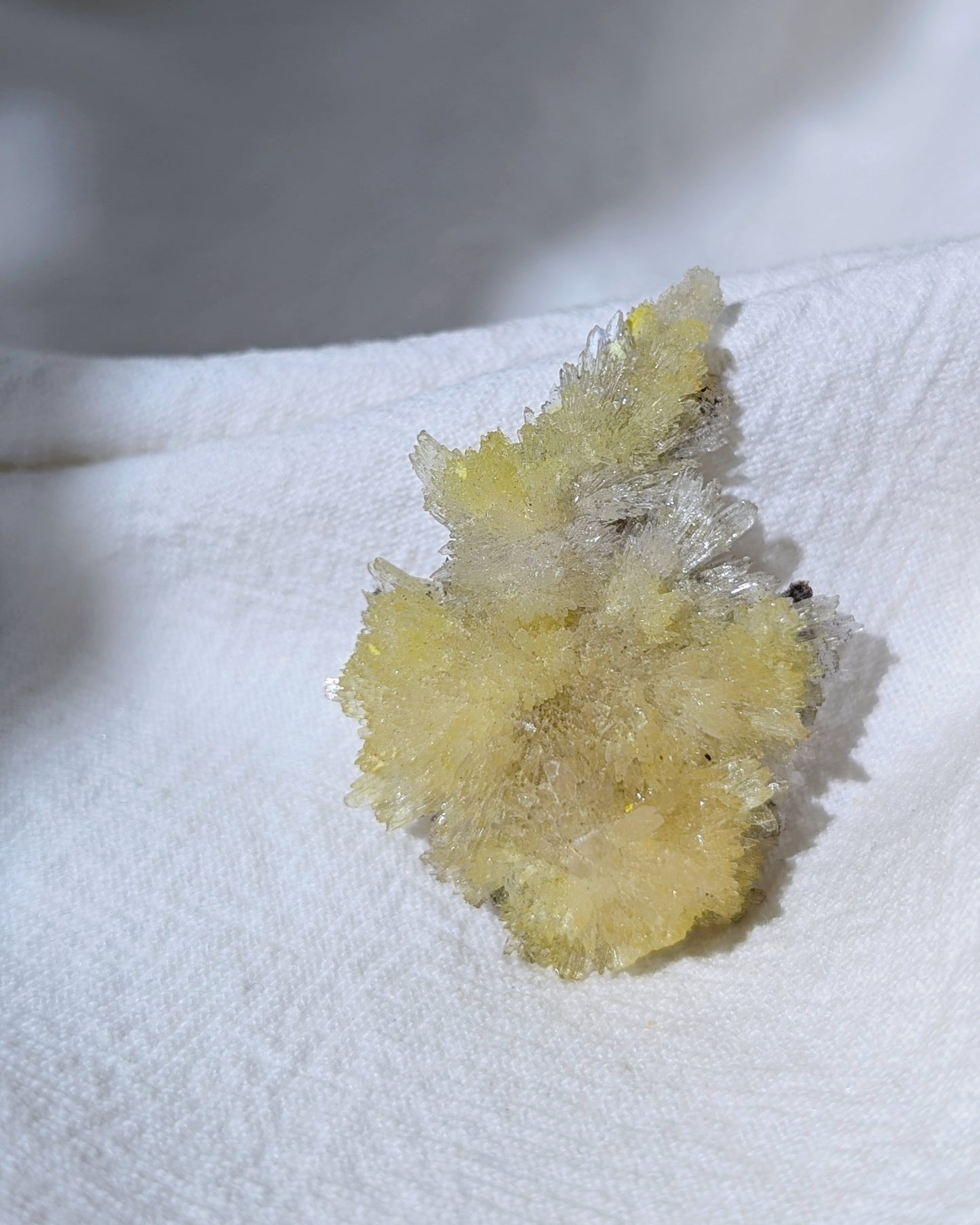 [CR10] Creedite Carlhintzeite flower specimen 水氟鋁鈣石氟鋁石膏花