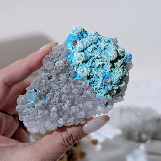 [CY07] Chrysocolla with Quartz and Pyrite 矽孔雀石石英黃鐵礦共生