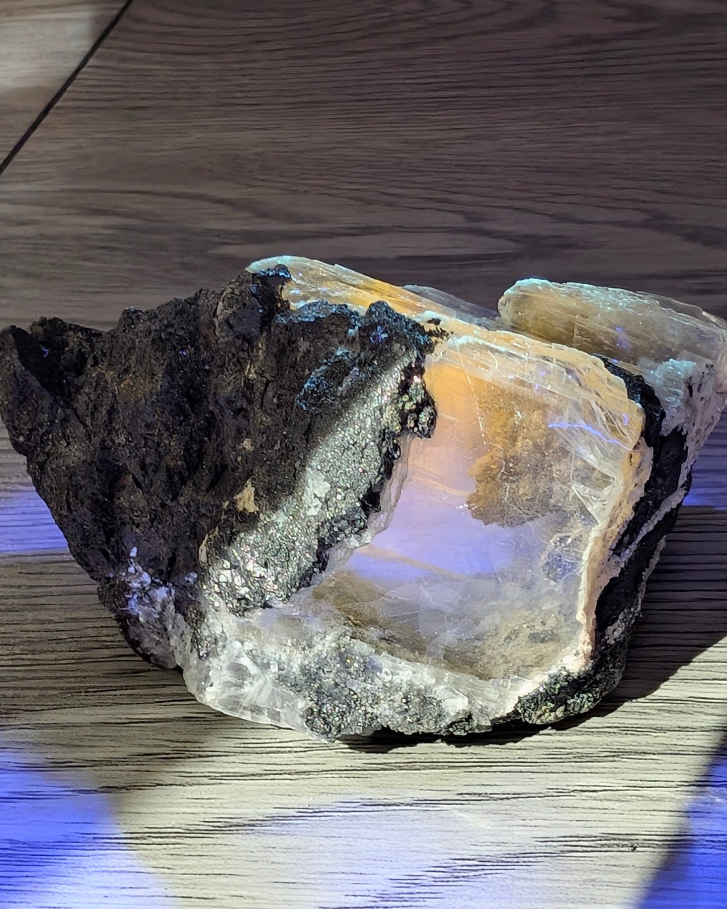 [SE13] Selenite with Galena Chalcopyrite uv reactive 螢光透石膏