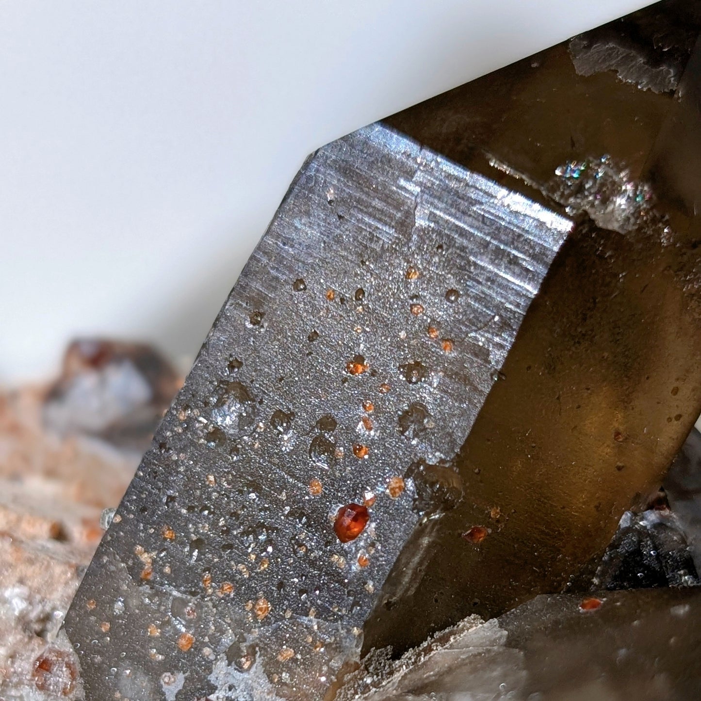 [GS02] Smoky Quartz with Spessartine Garnet 福建煙晶石榴石