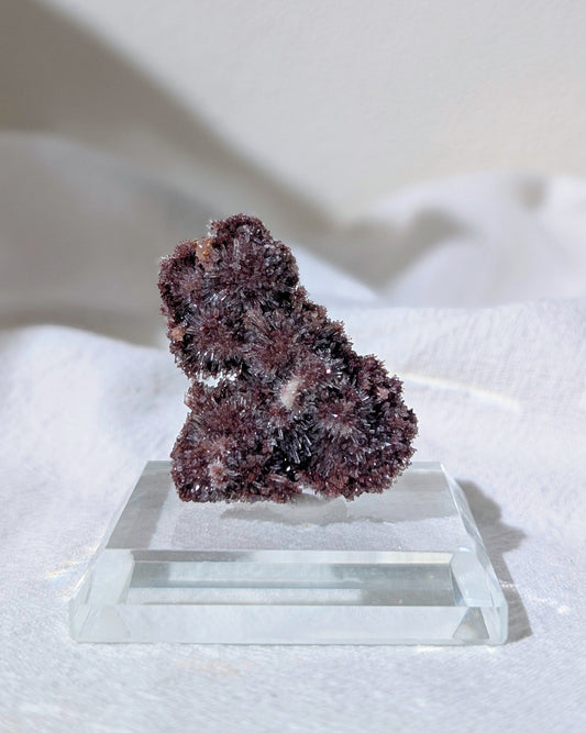 [CR12] Creedite flower on matrix 紅幽靈氟鋁石膏花