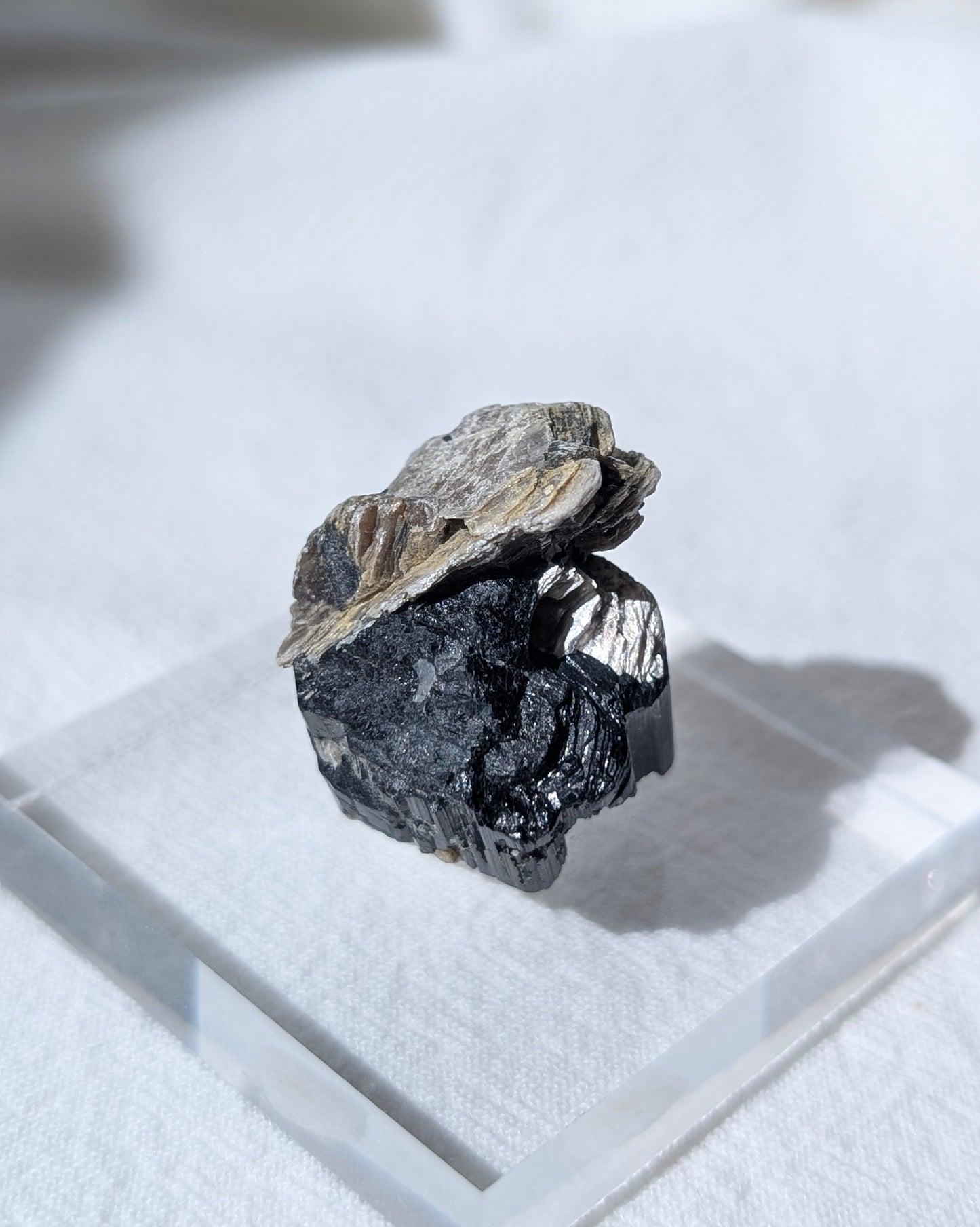 [BT03] Black Tourmaline with Mica 黑碧璽金雲母共生