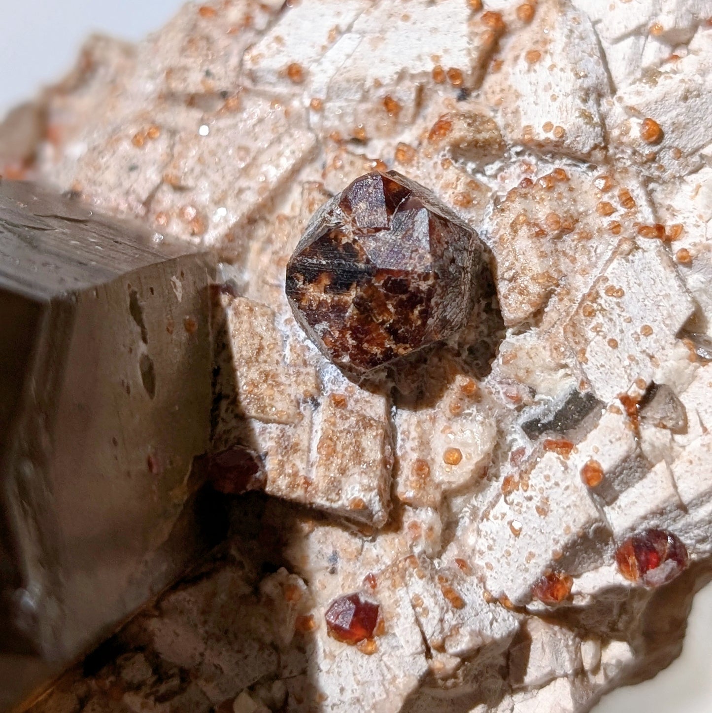 [GS02] Smoky Quartz with Spessartine Garnet 福建煙晶石榴石