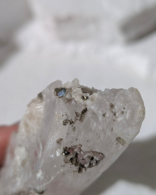 [SE05] Selenite Chalcopyrite 透石膏黃銅礦