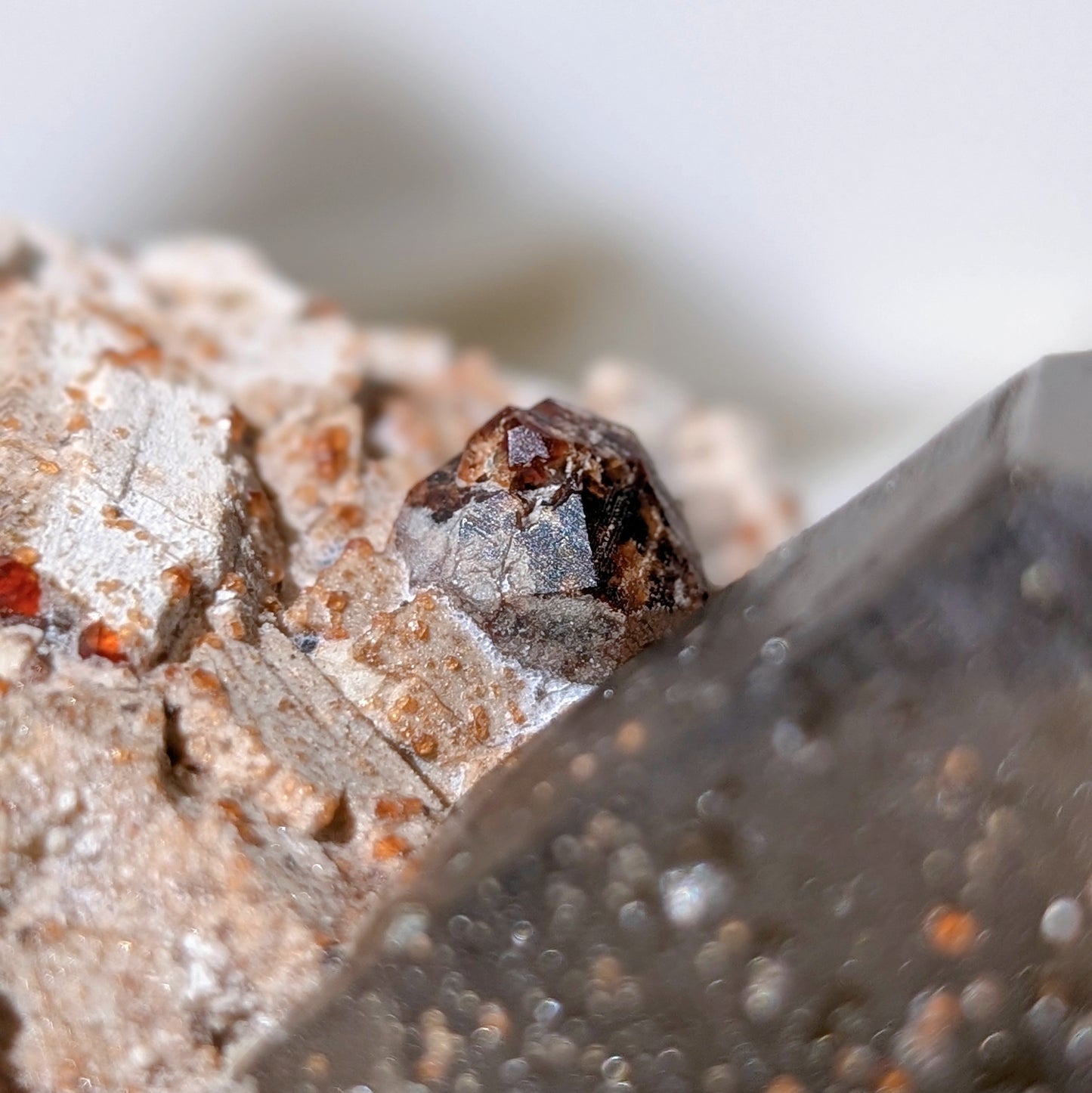 [GS02] Smoky Quartz with Spessartine Garnet 福建煙晶石榴石