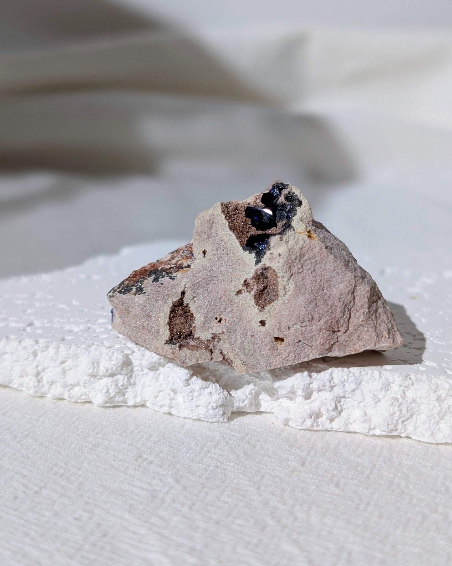 [AZ29] Azurite on matrix, Morocco