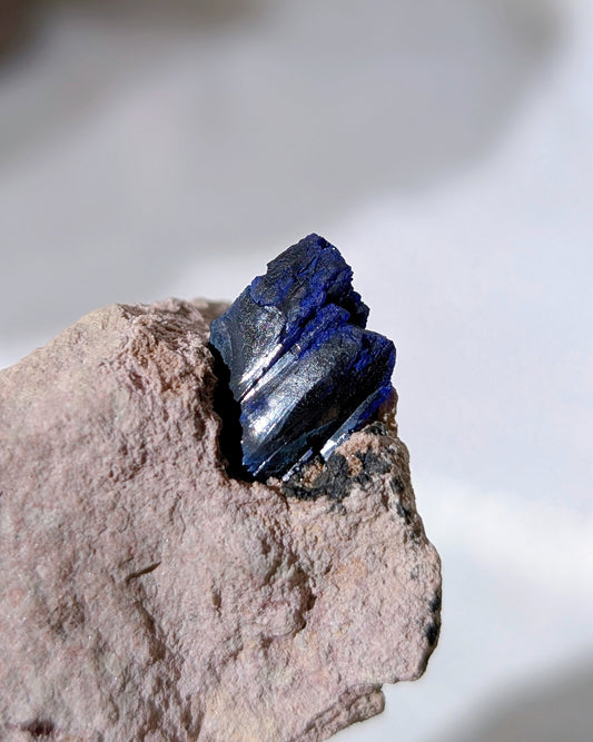 [AZ28] Azurite on matrix, Morocco