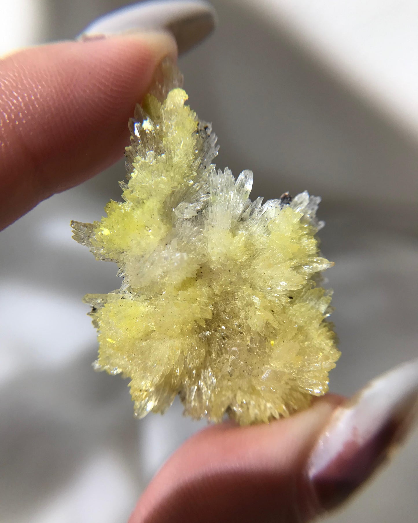 [CR10] Creedite Carlhintzeite flower specimen 水氟鋁鈣石氟鋁石膏花